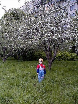 Против строительства на месте сквера проголосовали 100 %!