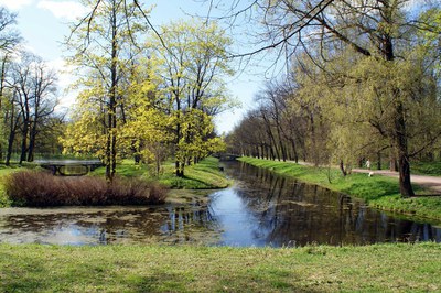 Классическая музыка в Александровском парке