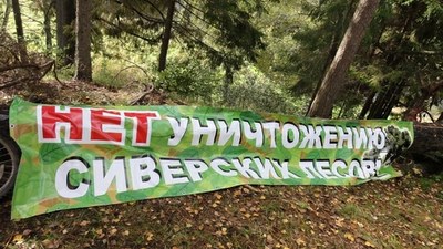 Поддержите защитников Сиверского леса!