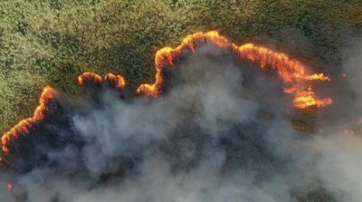 Изгнание добровольных пожарных из зоны пожаров (спецоперация). Пожар разгорается, а МЧС тушить не собирается