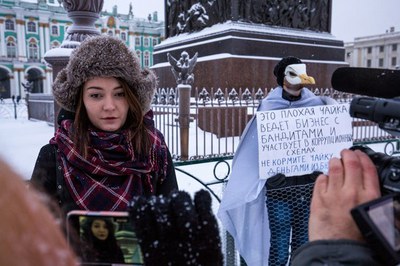 Петербуржцам напомнили про Чайку