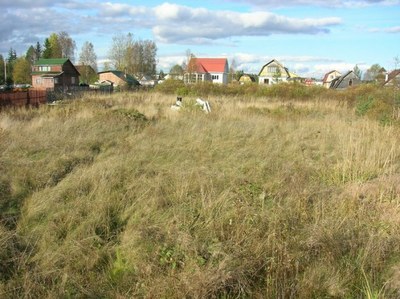 Жители Сусанино выражают недоверие местным властям