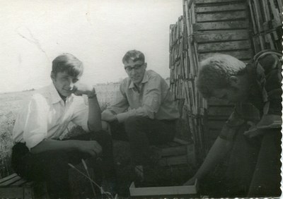 В колхозе