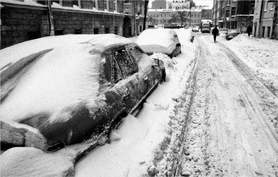 Евгений Водолазкин о бескомпромиссной борьбе со снегом в Петербурге