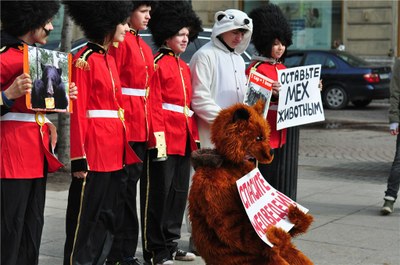 Зоозащитники против британских гвардейцев