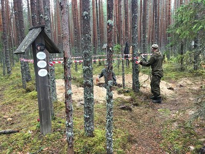 Краткий отчет о наблюдениях за раскопками РВИО на Сандормохе